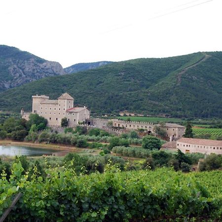 Castell De Riudabella Apartment Vimbodi I Poblet Exterior foto
