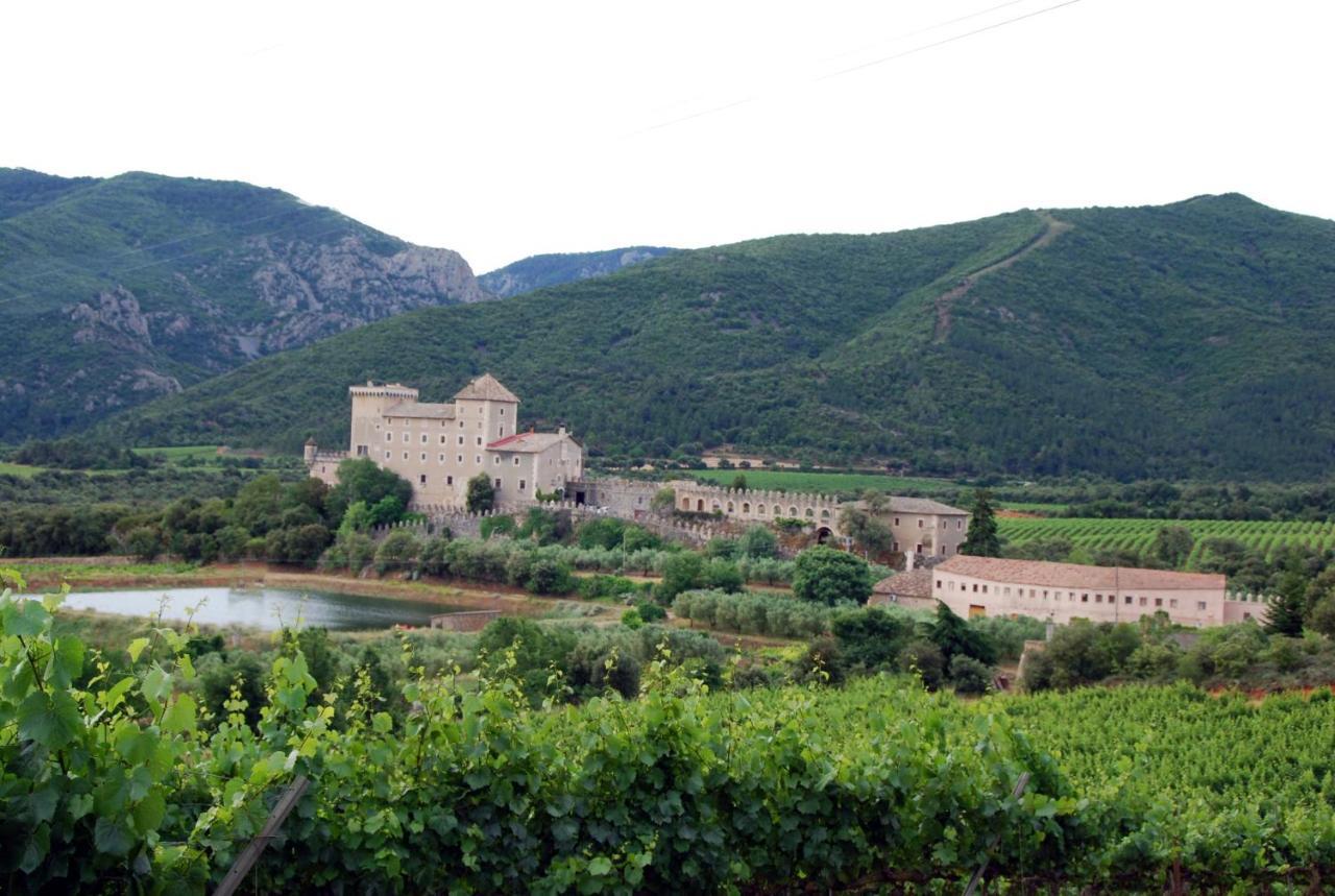 Castell De Riudabella Apartment Vimbodi I Poblet Exterior foto