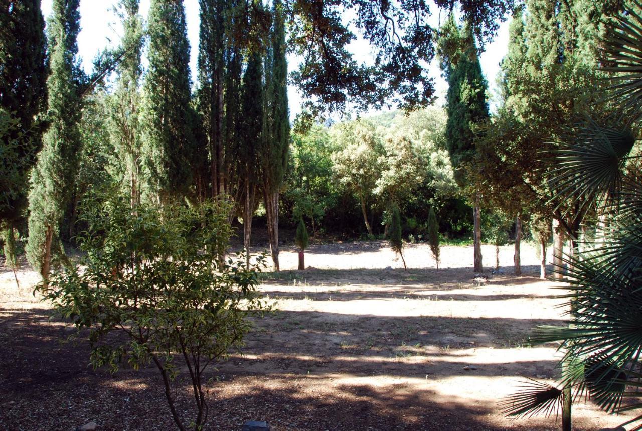 Castell De Riudabella Apartment Vimbodi I Poblet Exterior foto