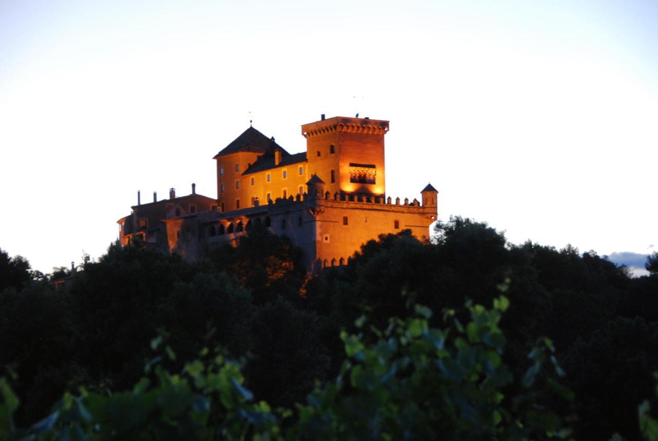 Castell De Riudabella Apartment Vimbodi I Poblet Exterior foto