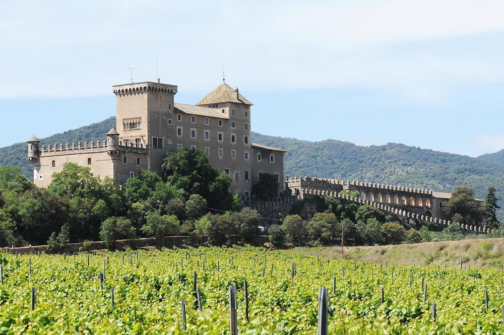 Castell De Riudabella Apartment Vimbodi I Poblet Exterior foto