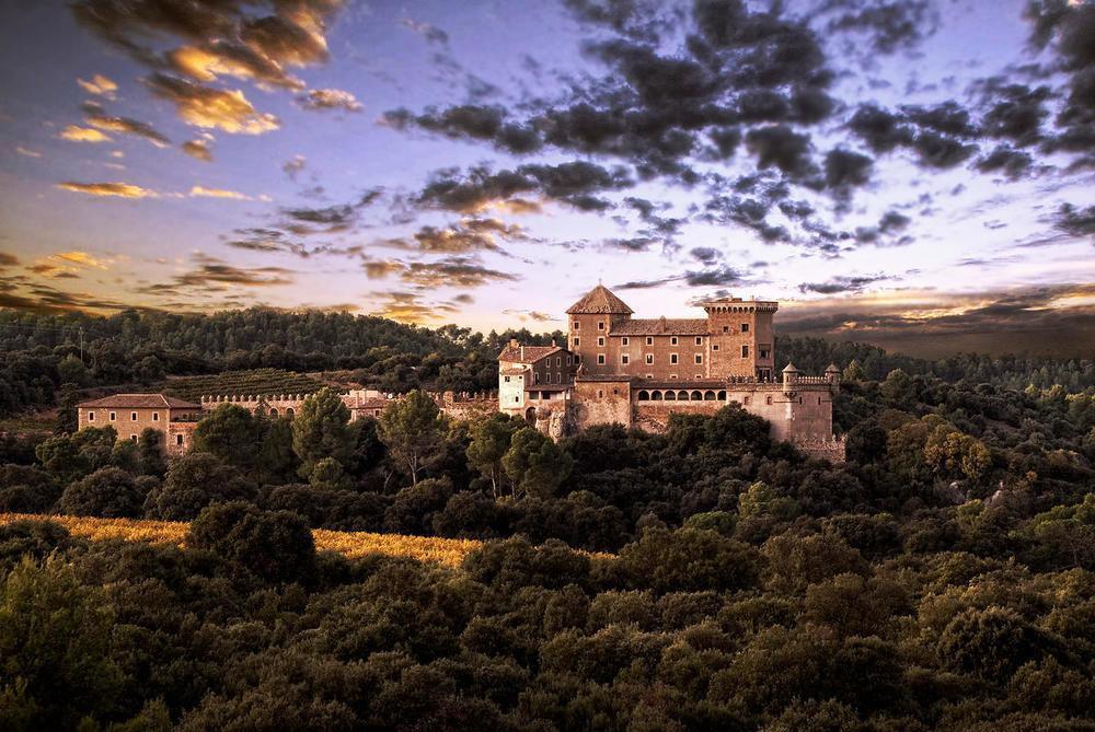Castell De Riudabella Apartment Vimbodi I Poblet Exterior foto