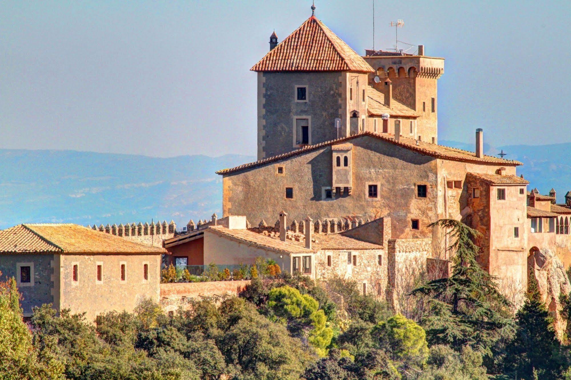 Castell De Riudabella Apartment Vimbodi I Poblet Exterior foto